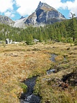 Pian dul Scricc : l'Alpeggio omonimo e il Pizzo Moro